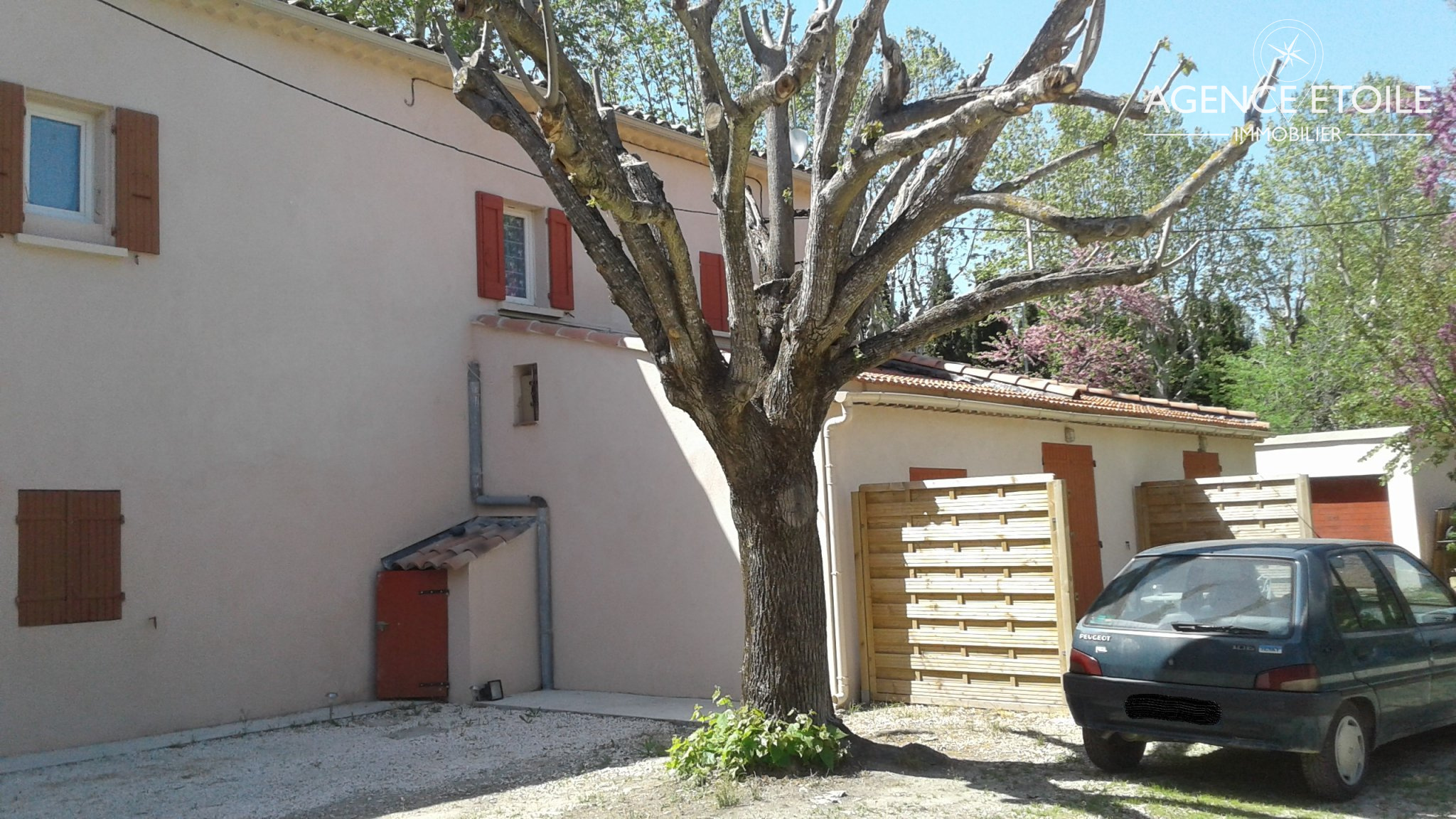photo1